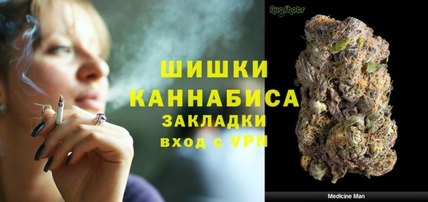 PSILOCYBIN Верея