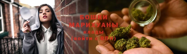 PSILOCYBIN Верея