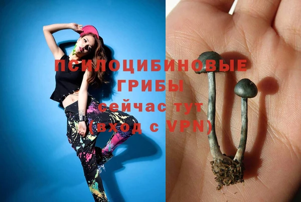 сатива Богородицк