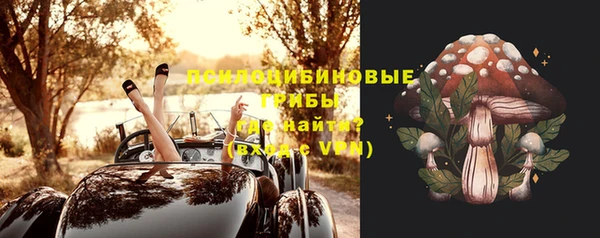 шишки Верхнеуральск
