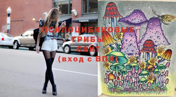 стафф Бронницы